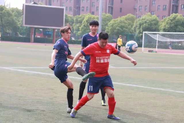 谈球吧官网数字化服务展示